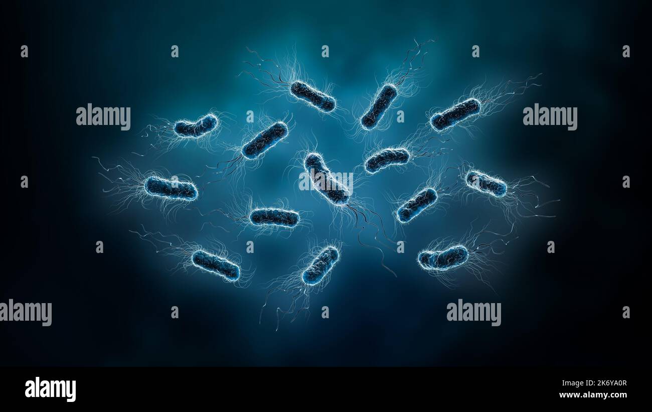 Gruppe von Bakterien, wie Escherichia oder E. coli, oder Bacilli 3D Darstellung. Mikrobiologie, Biologie, Medizin, Gesundheitswesen, Wissenschaftskonzepte. Stockfoto