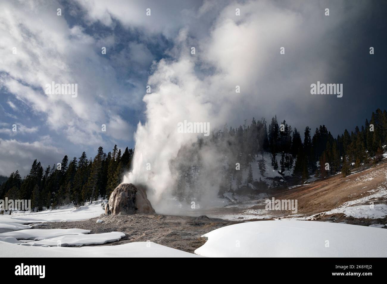 WY05091-00..... WYOMING - Lone Star Geysir bricht an einem stürmischen Wintertag aus, dem Yellowstone National Park. Stockfoto