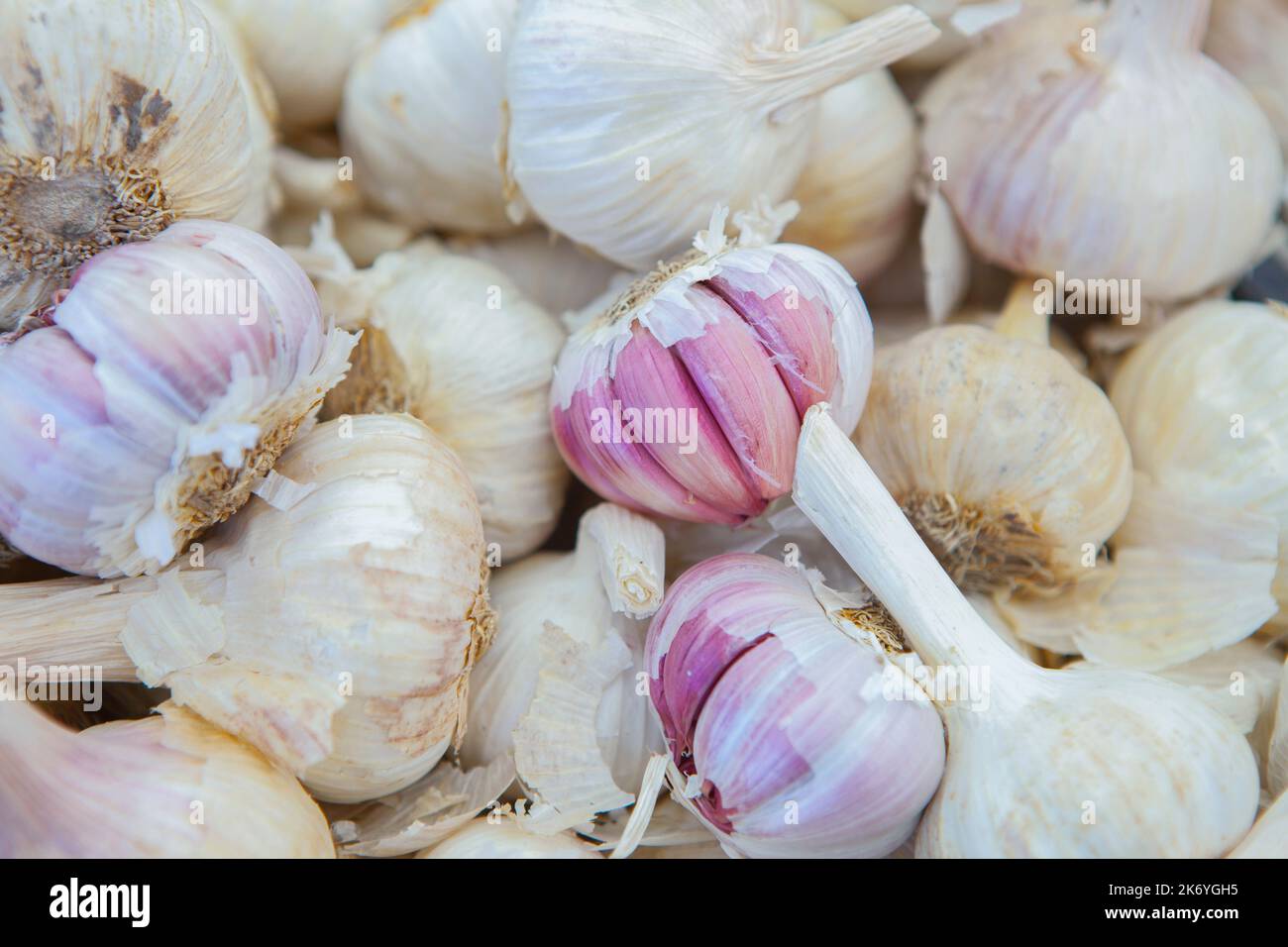 Spanische rosa Knoblauchzwiebeln. Ausgestellt am Straßenmarktstand Stockfoto