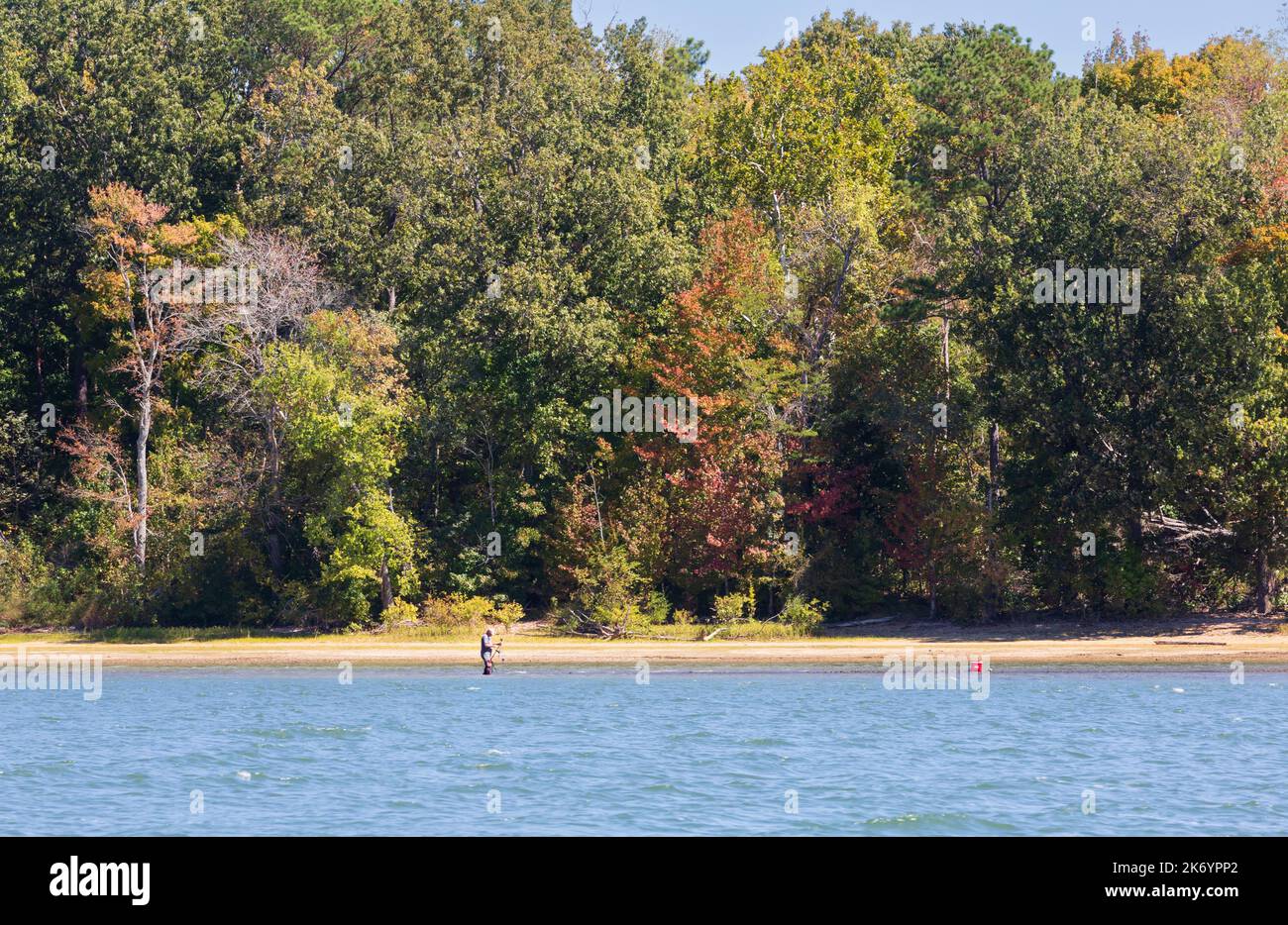 Ein Mann, der im Frühherbst am Kentucky Lake im seichten Wasser fischt. Die Blätter beginnen Anfang Oktober ihre Farbe zu ändern. Stockfoto