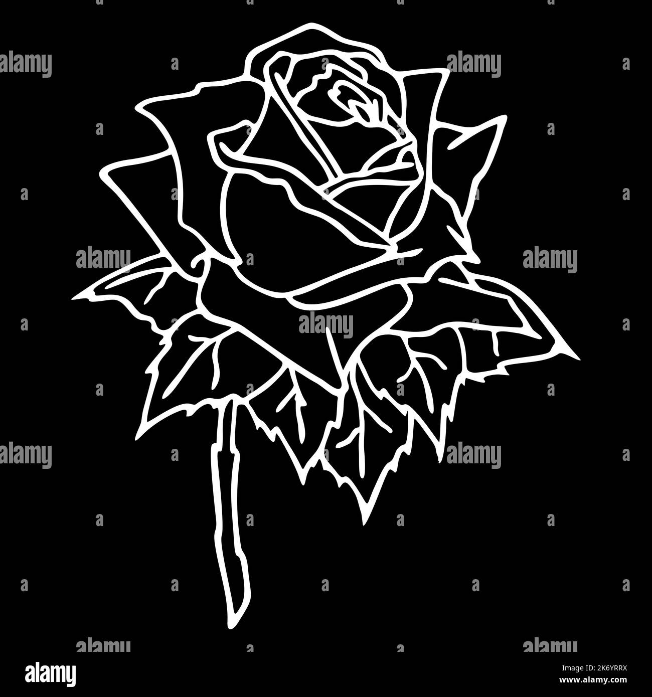 Bild einer weißen Umrandung einer Blume auf einem schwarzen Hintergrund Nahaufnahme, Kunst, Design Stockfoto