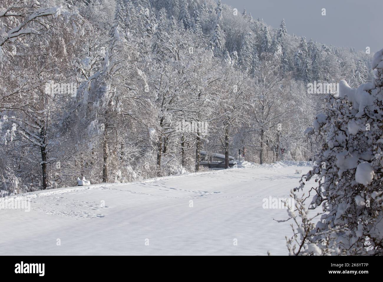 Malerisches Winterwunderland mit frischem Schnee an einem sonnigen Tag in der Schweiz. Stockfoto