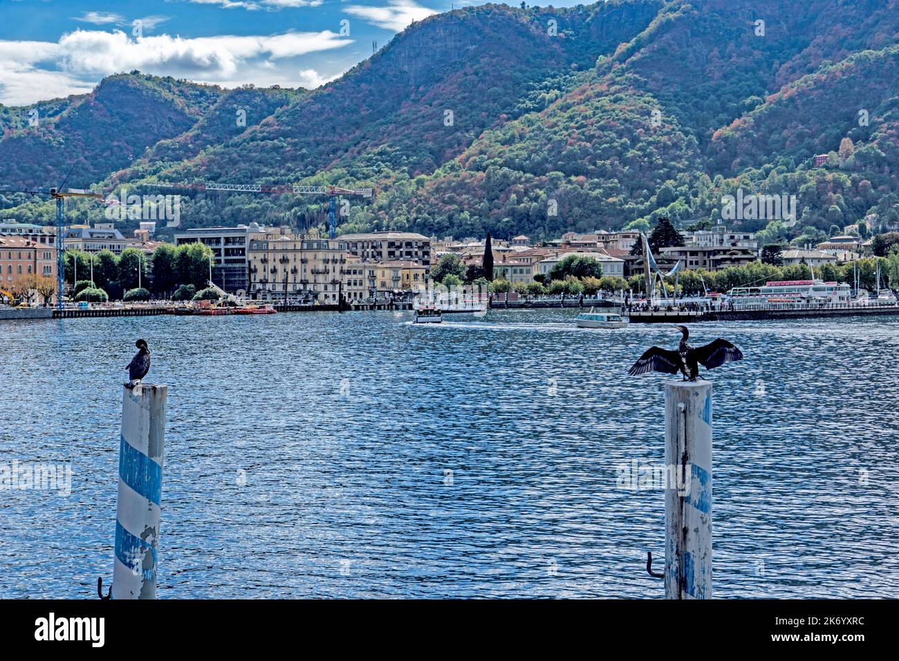 Zwei Kormoran-Vögel sitzen auf gegenüberliegenden Polen, in der Stadt Como, am Comer See, Italien. Stangen auseinander. Stockfoto