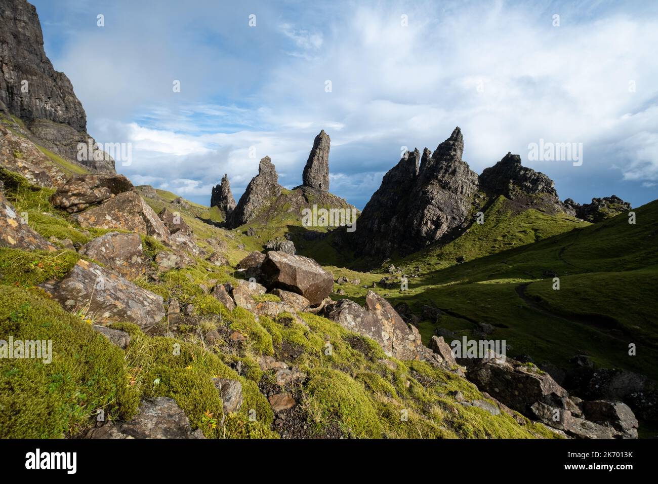 Tierwelt und Natur in den Schottischen Grenzen und Highlands. Stockfoto