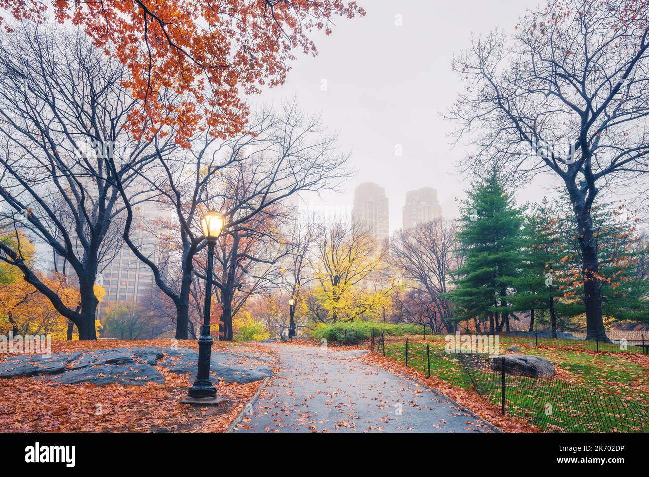 New York Central Park am regnerischen Morgen Stockfoto