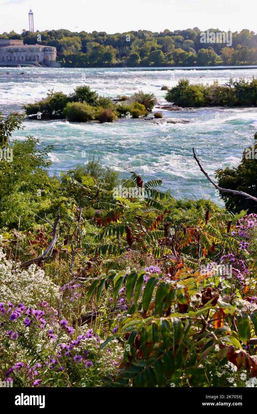 Die Stromschnellen des Niagara-Flusses über den Horseshoe Falls der Niagarafälle, fotografiert von Goat Island auf der amerikanischen Seite der Wasserfälle. Stockfoto