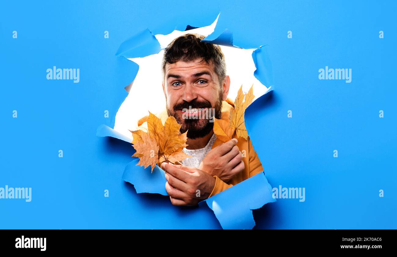 Lächelnder Mann mit goldenen Ahornblättern. Glücklicher bärtiger Mann in warmen Kleidern. Herbstmode für Männer. Stockfoto