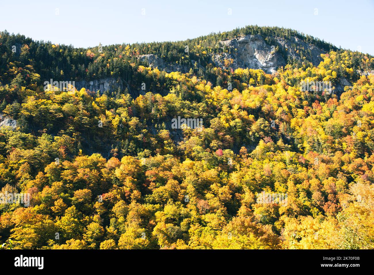 Die Berghänge von Evans Notch, Maine, sind in Herbstfarben getönt. Stockfoto