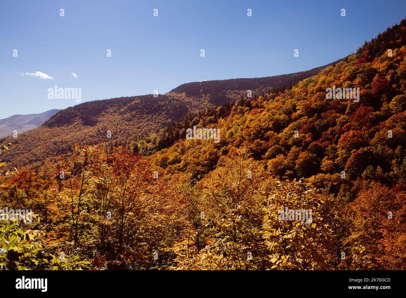 Die Berghänge von Evans Notch, Maine, sind in Herbstfarben getönt. Stockfoto