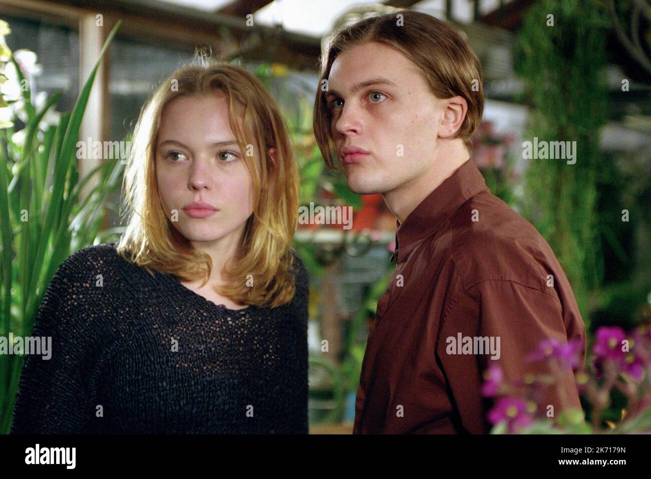 BRUCKNER, PITT, MORD NACH ZAHLEN, 2002 Stockfoto