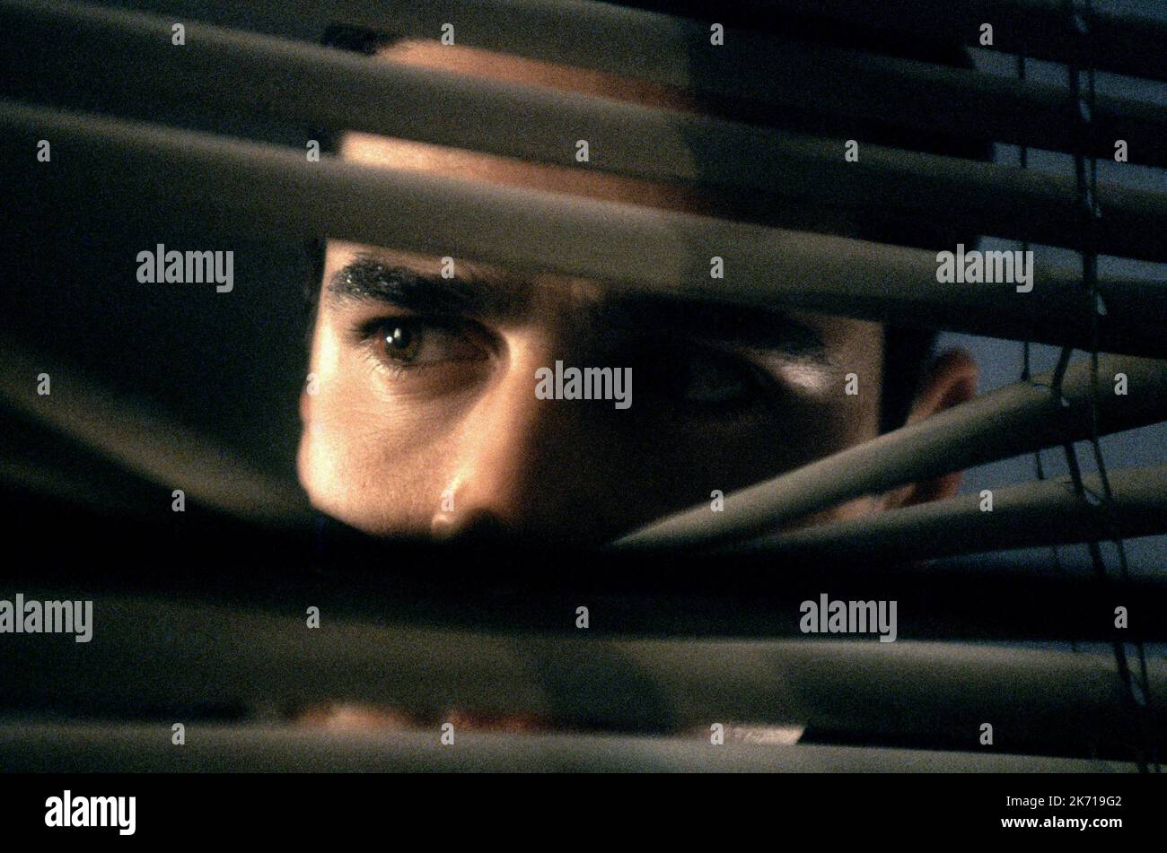 JESSE BRADFORD, SWIMFAN, 2002 Stockfoto