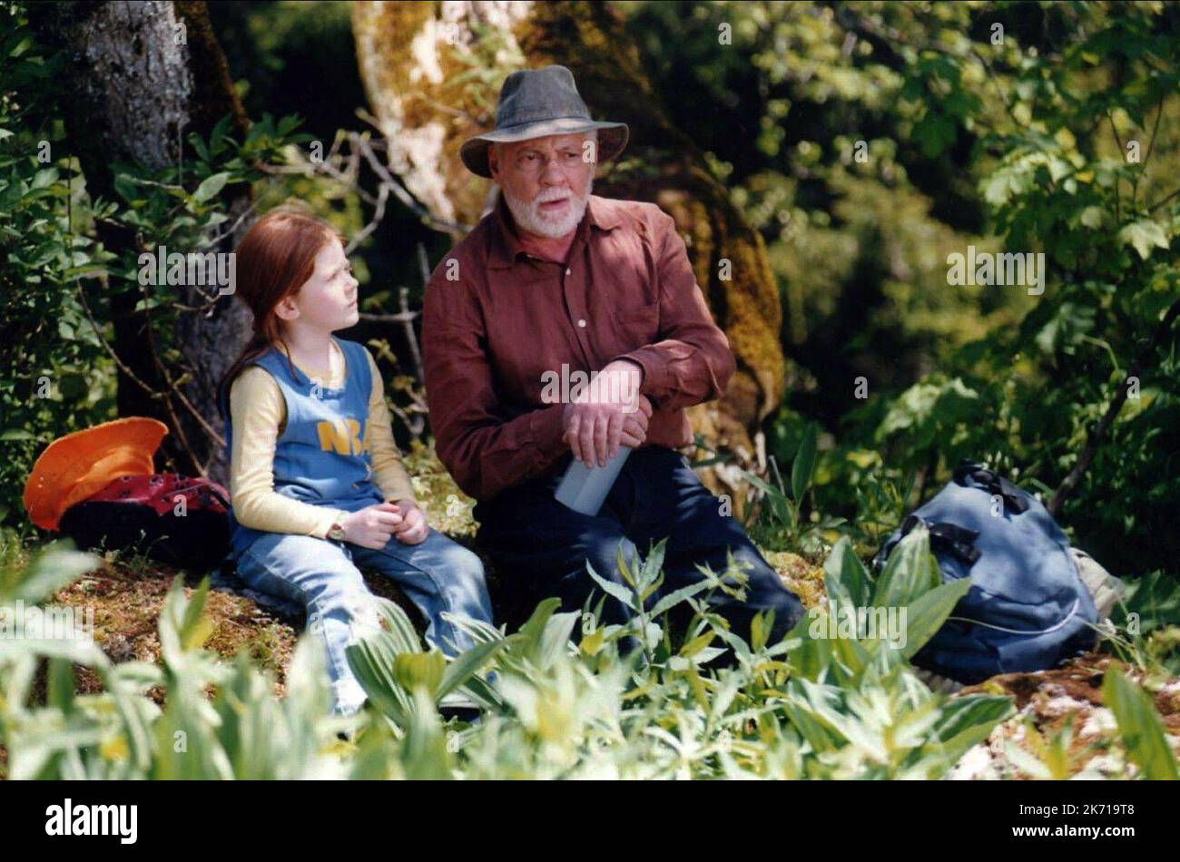 BOUANICH, SERRAULT, DER SCHMETTERLING, 2002 Stockfoto