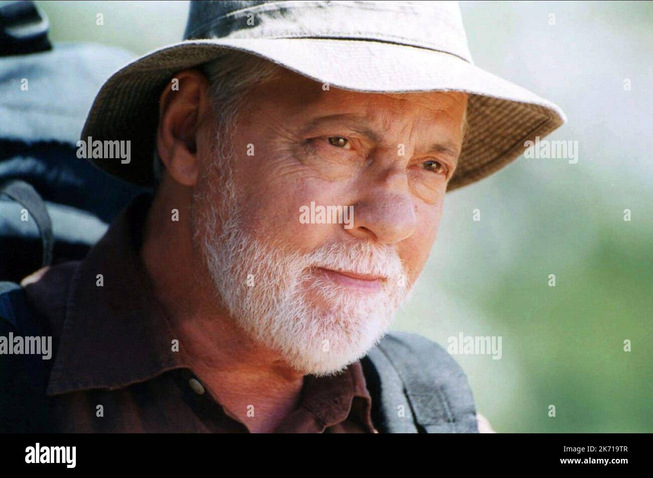 MICHEL SERRAULT, DER SCHMETTERLING, 2002 Stockfoto