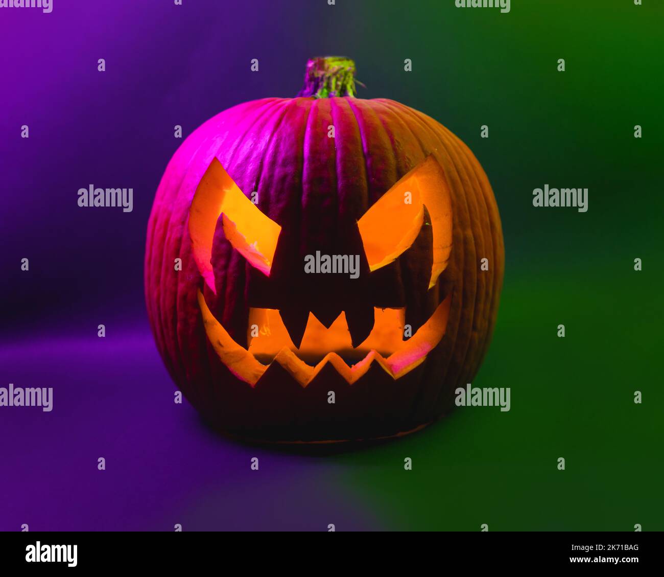 Halloween-Hundehalsband Mit Fliege – Verstellbar, Mit Fledermaus- & Kürbis-Motiv