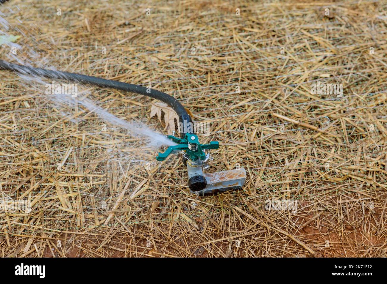 Bewässerung von Gras mit Rasensprenger in der Gartenanlage in der Nähe von neuem Haus Stockfoto