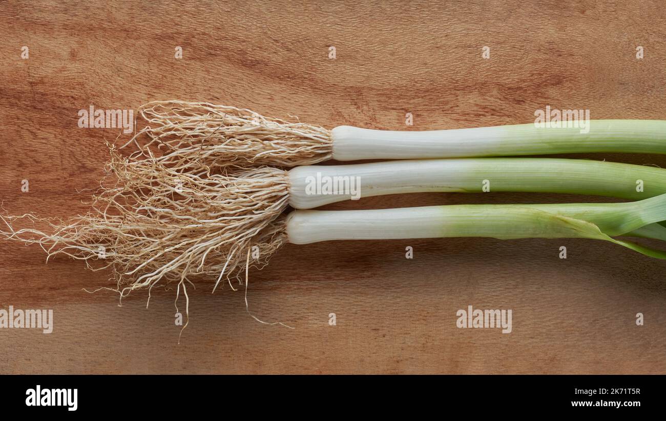 Nahaufnahme von Lauch mit Wurzeln, frisch geerntetes, essbares rohes Gemüse auf einem Schneidebretthintergrund, von oben mit aufgenommen Stockfoto