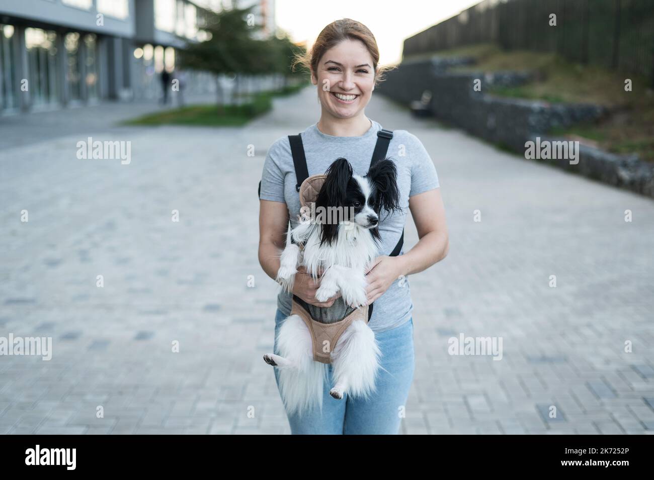 Glückliche kaukasische Frau, die mit einem Hund in einem Rucksack läuft. Papillon Spaniel Continental in einer Schlinge. Stockfoto