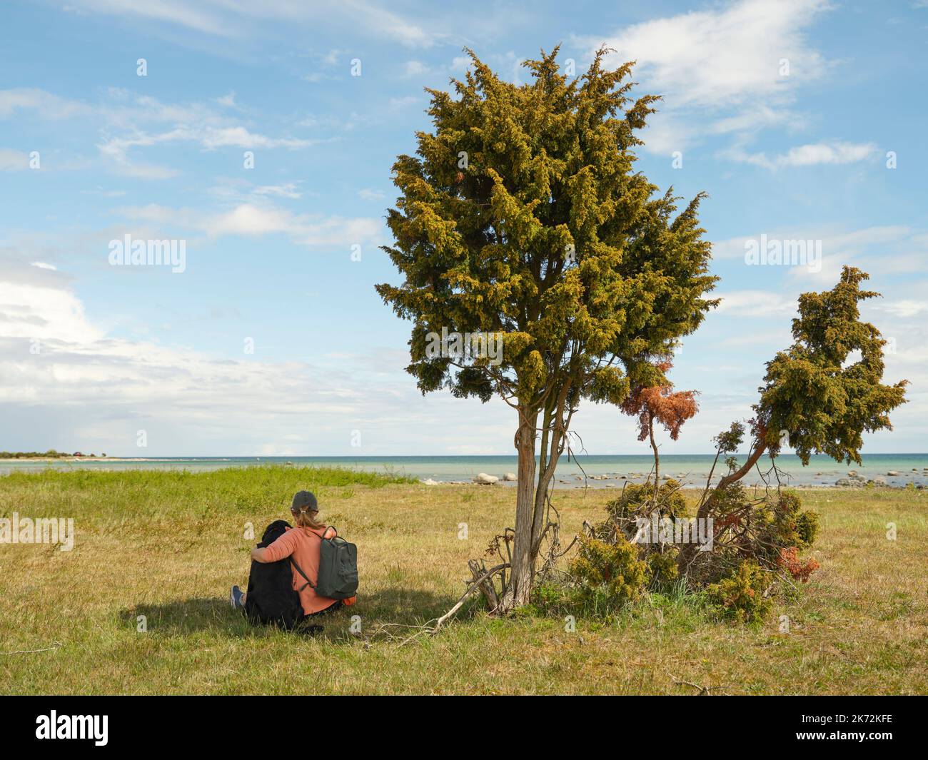 Frau, die mit Hund auf See sitzt Stockfoto
