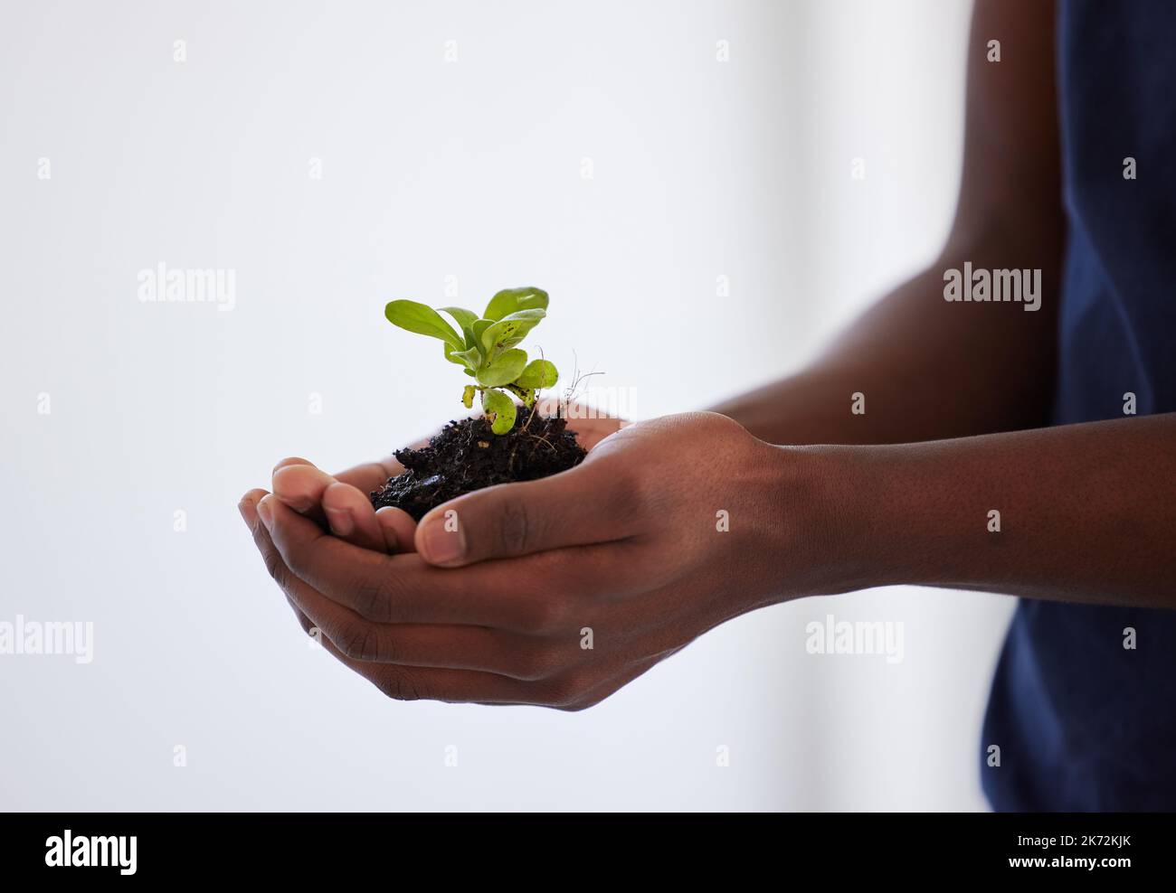 Um Himmels Willen, halten Sie es grün. Ein nicht erkennbarer Mann, der eine Pflanze hält, die aus dem Boden wächst. Stockfoto