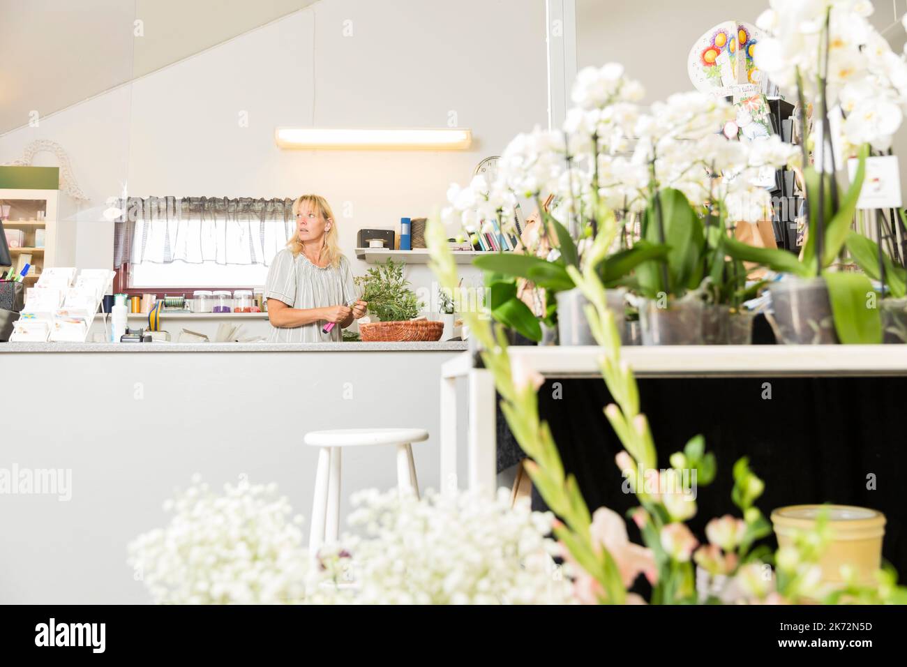 Frau arbeitet im Blumenladen Stockfoto