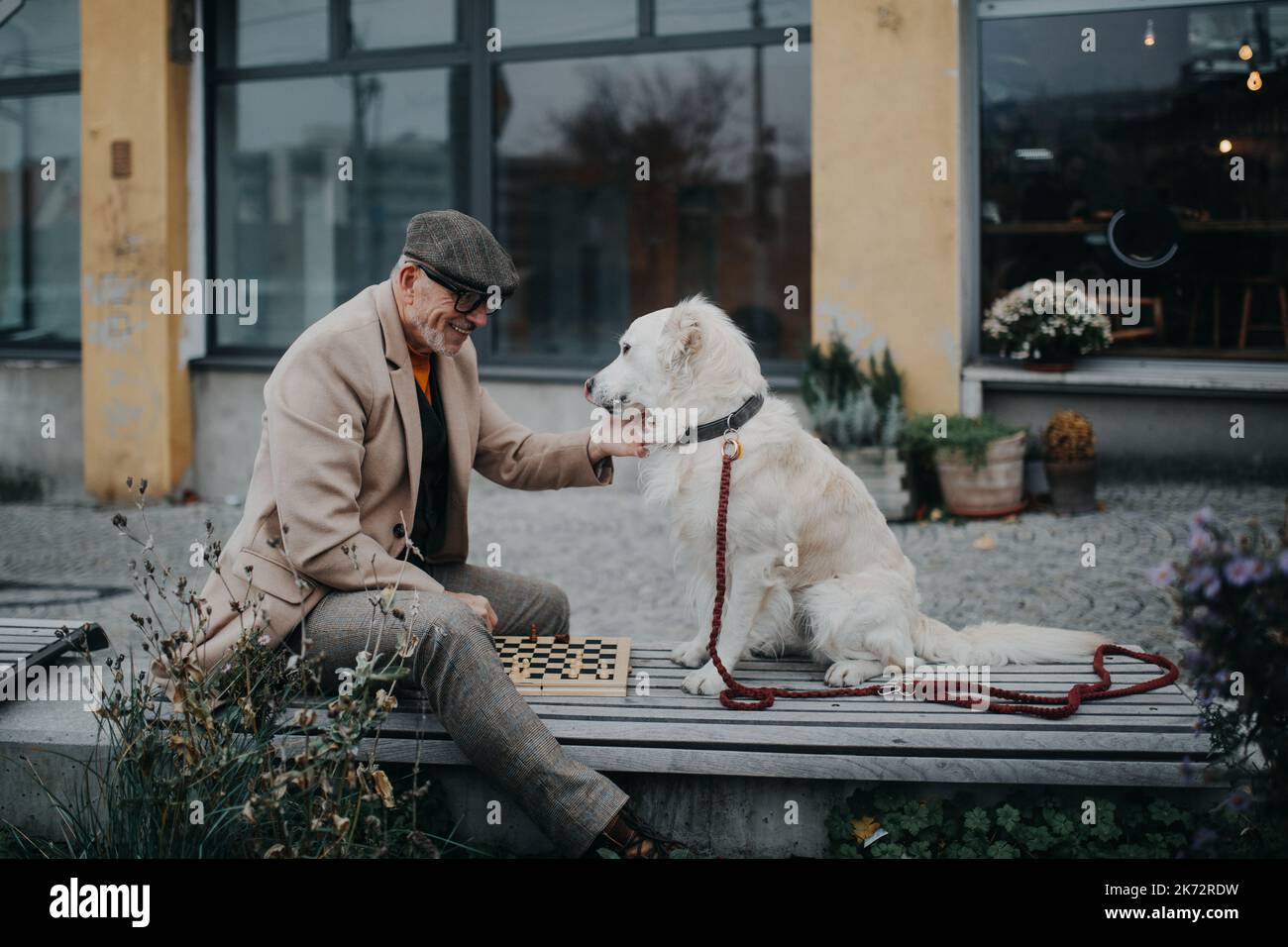 Älterer Mann, der mit seinem Hund auf der Bank sitzt und Schach spielt. Stockfoto