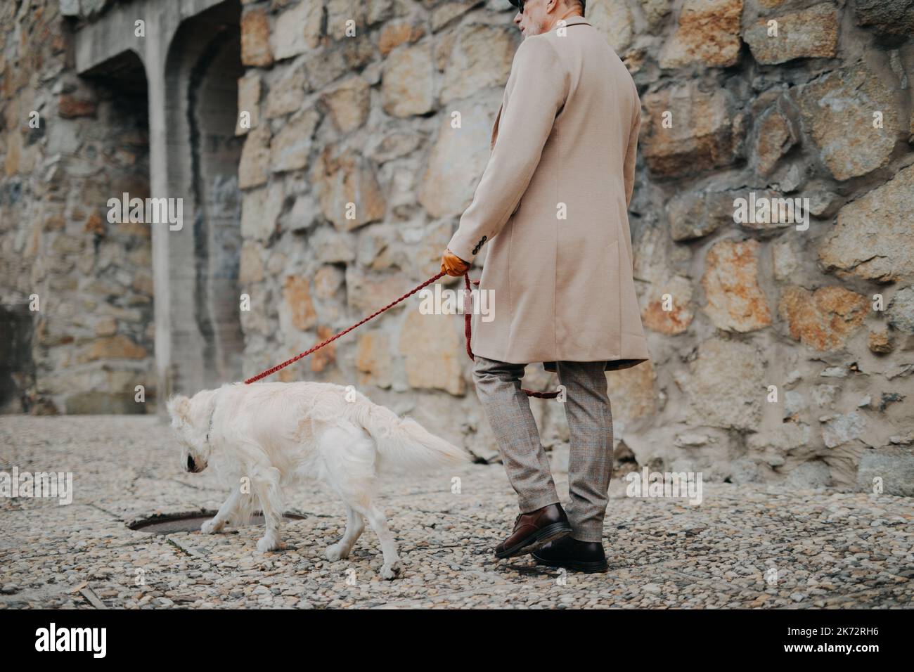 Niedriger Abschnitt des eleganten älteren Mannes, der seinen Hund im Freien in der Stadt läuft. Stockfoto