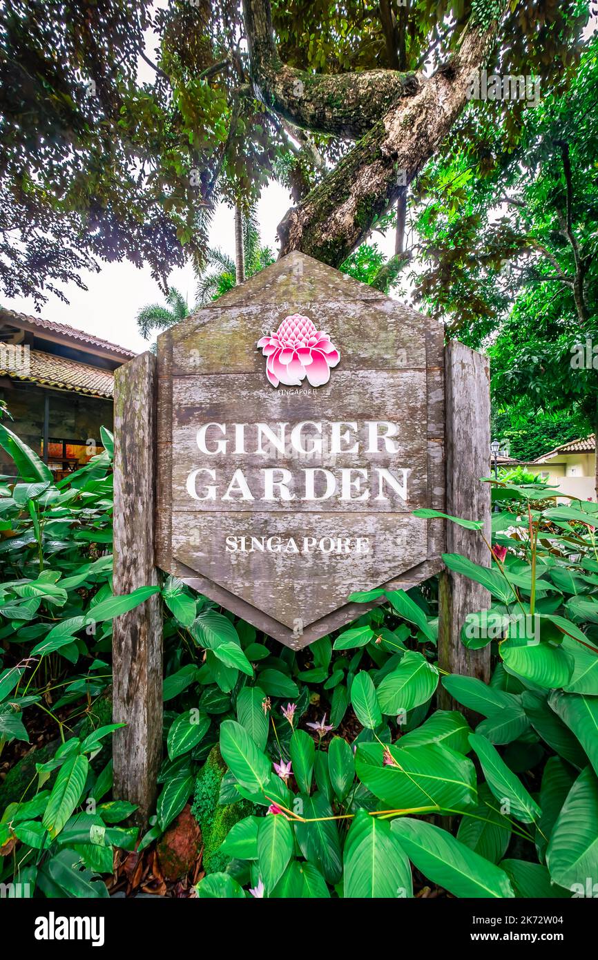 Ingwer-Garten in den Botanischen Gärten von Singapur. Ein UNESCO-Weltkulturerbe von Singapur. Stockfoto