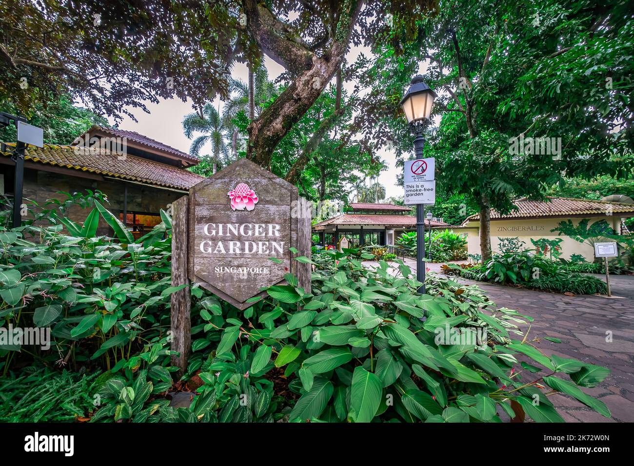 Ingwer-Garten in den Botanischen Gärten von Singapur. Ein UNESCO-Weltkulturerbe von Singapur. Stockfoto