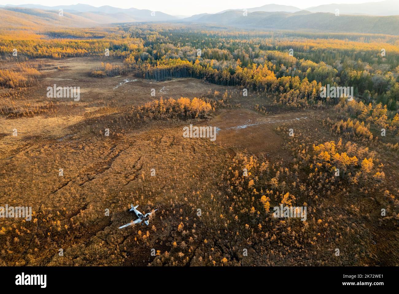 Verlassenes Wrackflugzeug in einem Sumpf, umgeben von Lärchen in Russland. Herbstfoto Stockfoto
