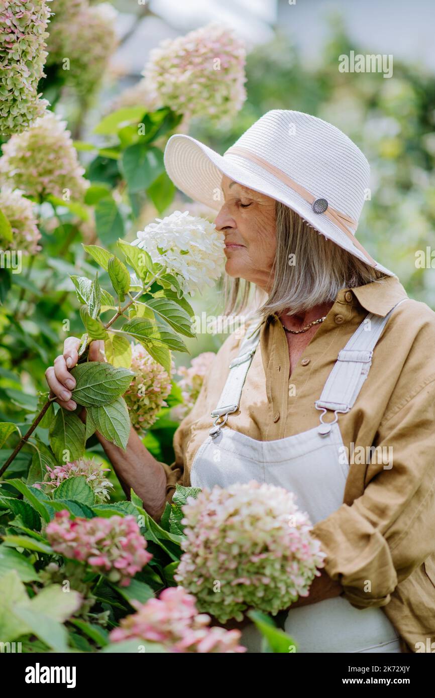 Glückliche ältere Frau, die im Blumengarten posiert. Stockfoto