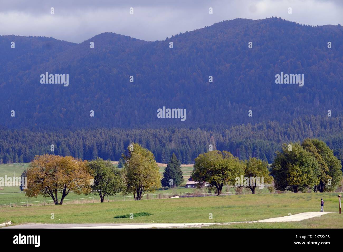 Pian del cansiglio während der Herbstsaison. Venedig, Italien, 9. Oktober 2022 Stockfoto