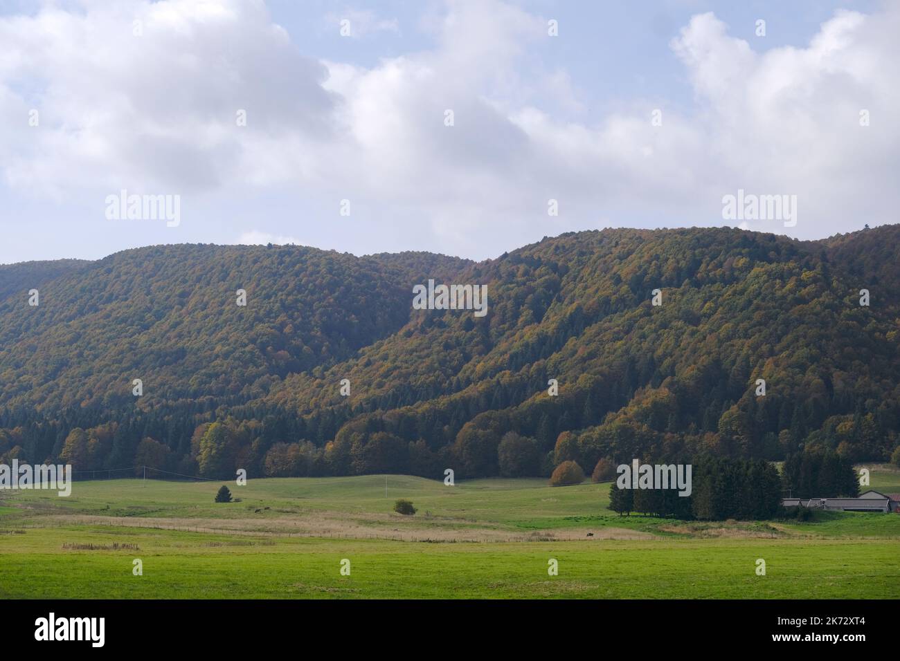 Pian del cansiglio während der Herbstsaison. Venedig, Italien, 9. Oktober 2022 Stockfoto