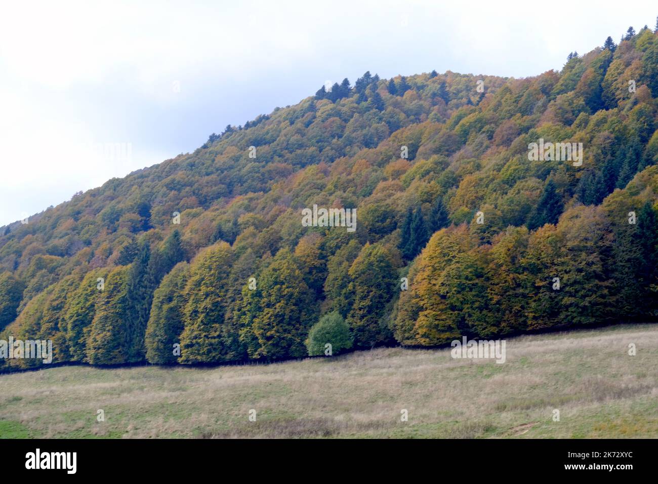 Pian del cansiglio während der Herbstsaison. Venedig, Italien, 9. Oktober 2022 Stockfoto