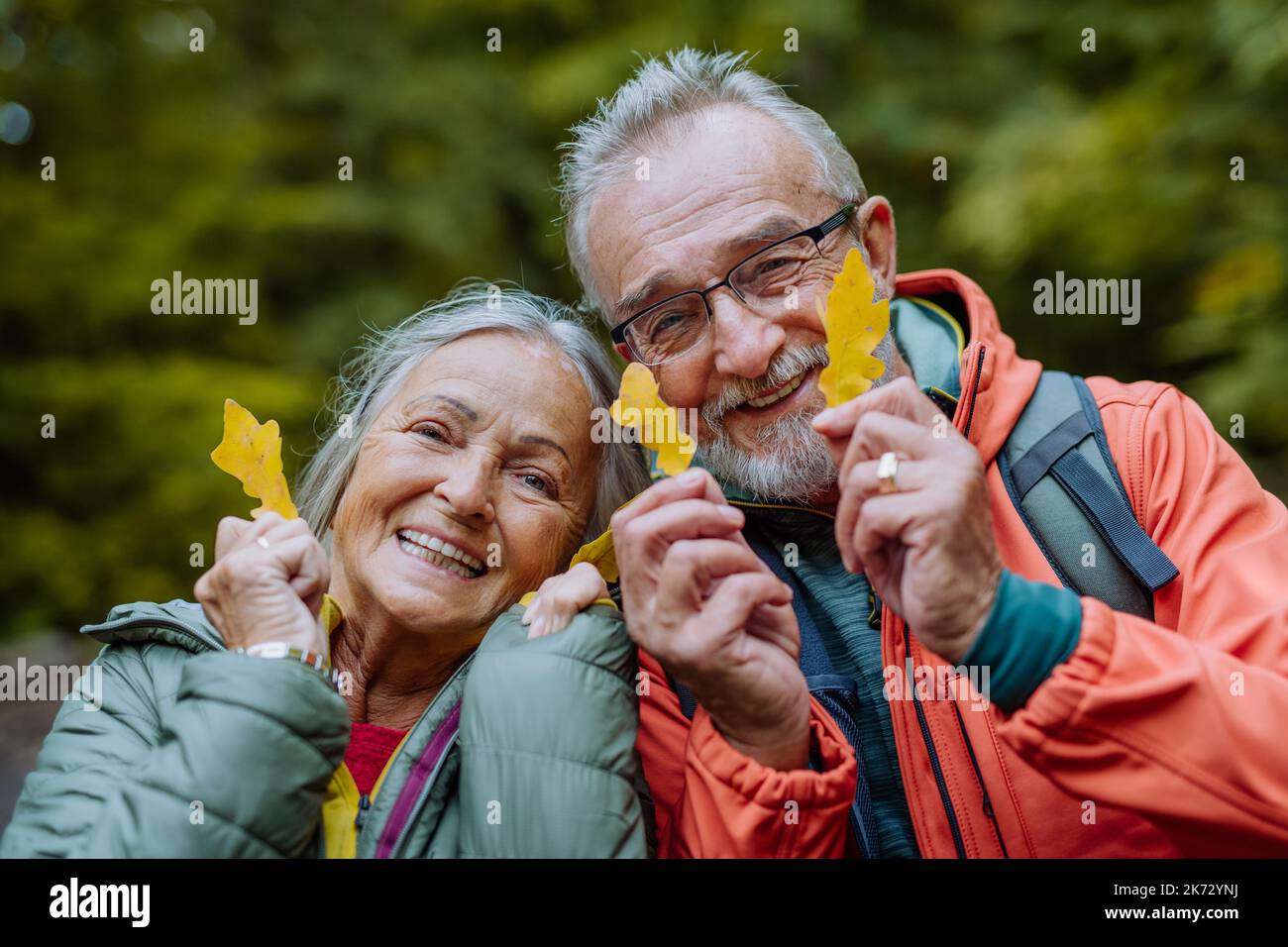 Porträt eines glücklichen älteren Paares mit Herbstblättern im Wald. Stockfoto