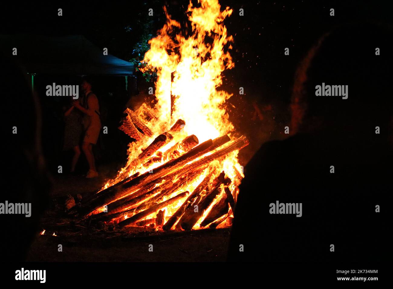 Foto eines nachts im Wald brennenden Feuers Stockfoto