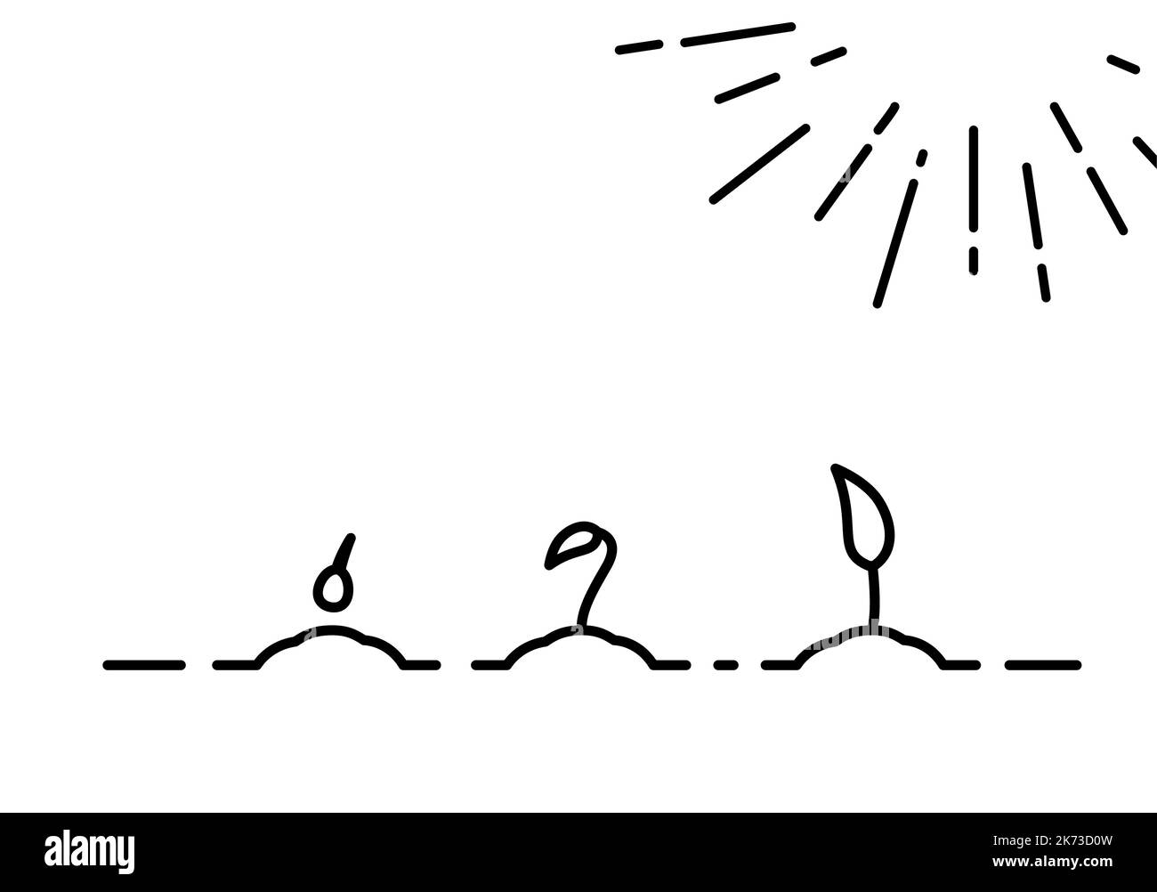 Die Wachstumsphasen des Baumes vom Blatt zur natürlichen Pflanze. Konzept des Pflanzenwachstums. Vektor-Illustrationen mit Phasen Pflanzenwachstum. Umreißen Sie den trendigen Stil. Stock Vektor