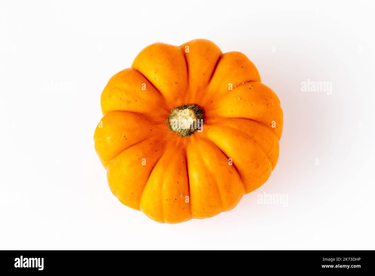 Munchkin Kürbis auf weißem Hintergrund Stockfoto