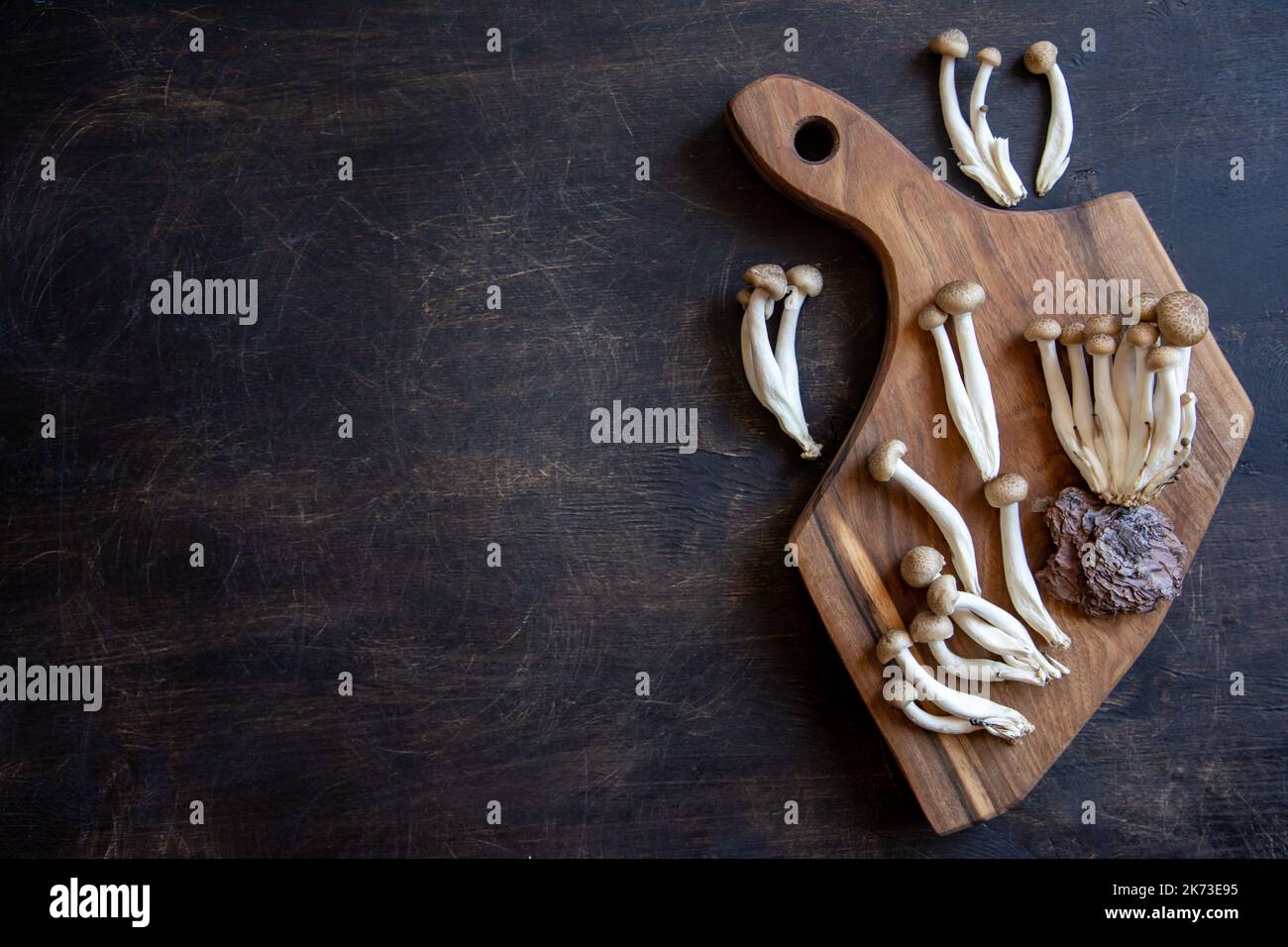 Cluster von frischen braunen Shimeji-Pilzen aus der Nähe. Shimeji-Pilze auf hölzernem Hintergrund. Stockfoto