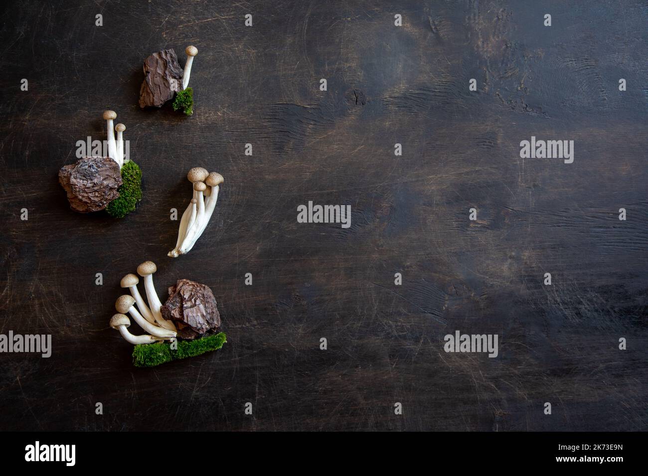 Cluster von frischen braunen Shimeji-Pilzen aus der Nähe. Shimeji-Pilze auf hölzernem Hintergrund. Stockfoto