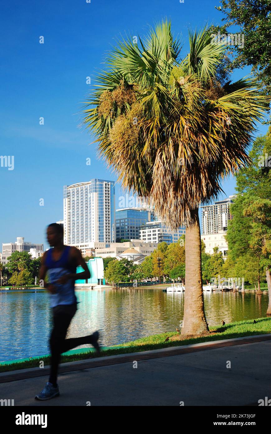 An einem sonnigen Tag am frühen Morgen joggt ein Läufer am Rande des Lake Eola, einem Park im Herzen der Innenstadt von Orlando, Florida Stockfoto