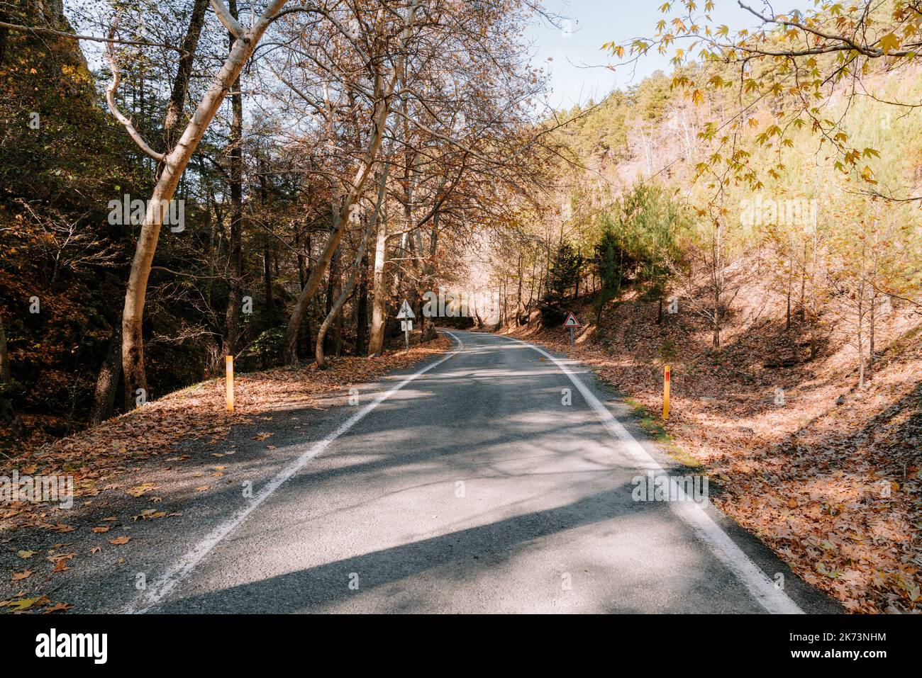 Eine ländliche Landstraße, Weg in schönen und ruhigen Wald in der Herbstsaison. Hochwertige Fotos Stockfoto