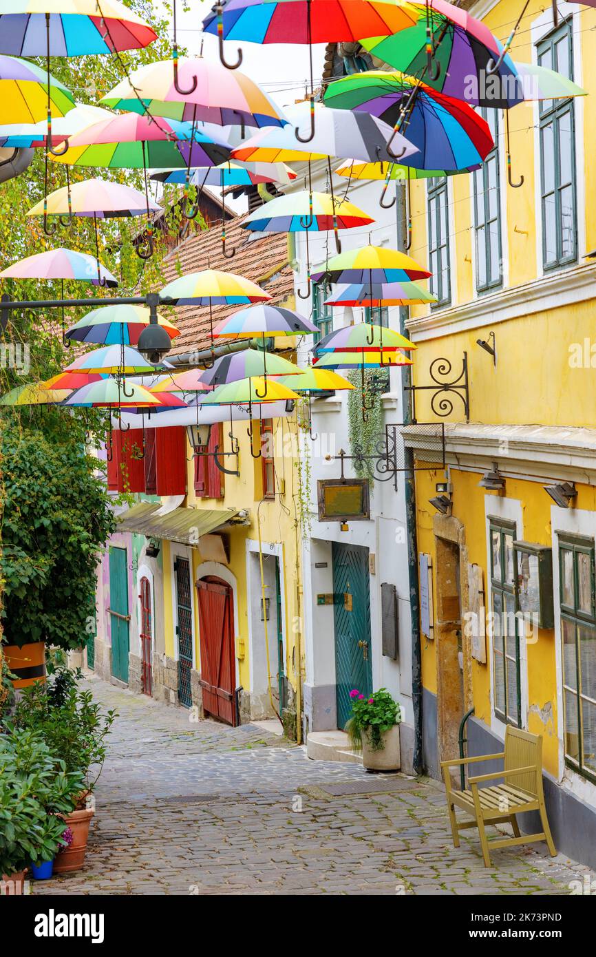 Bunte lustige Regenschirme hängen über der Straße in Szentendre mit Blumen Stockfoto