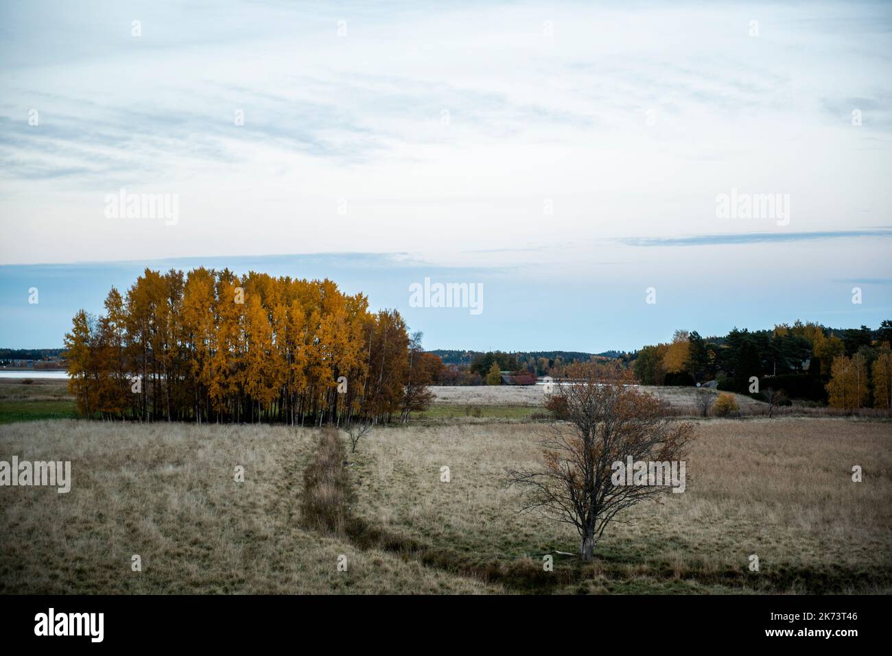 Agrarlandschaft entschmackende Herbstfarben Stockfoto