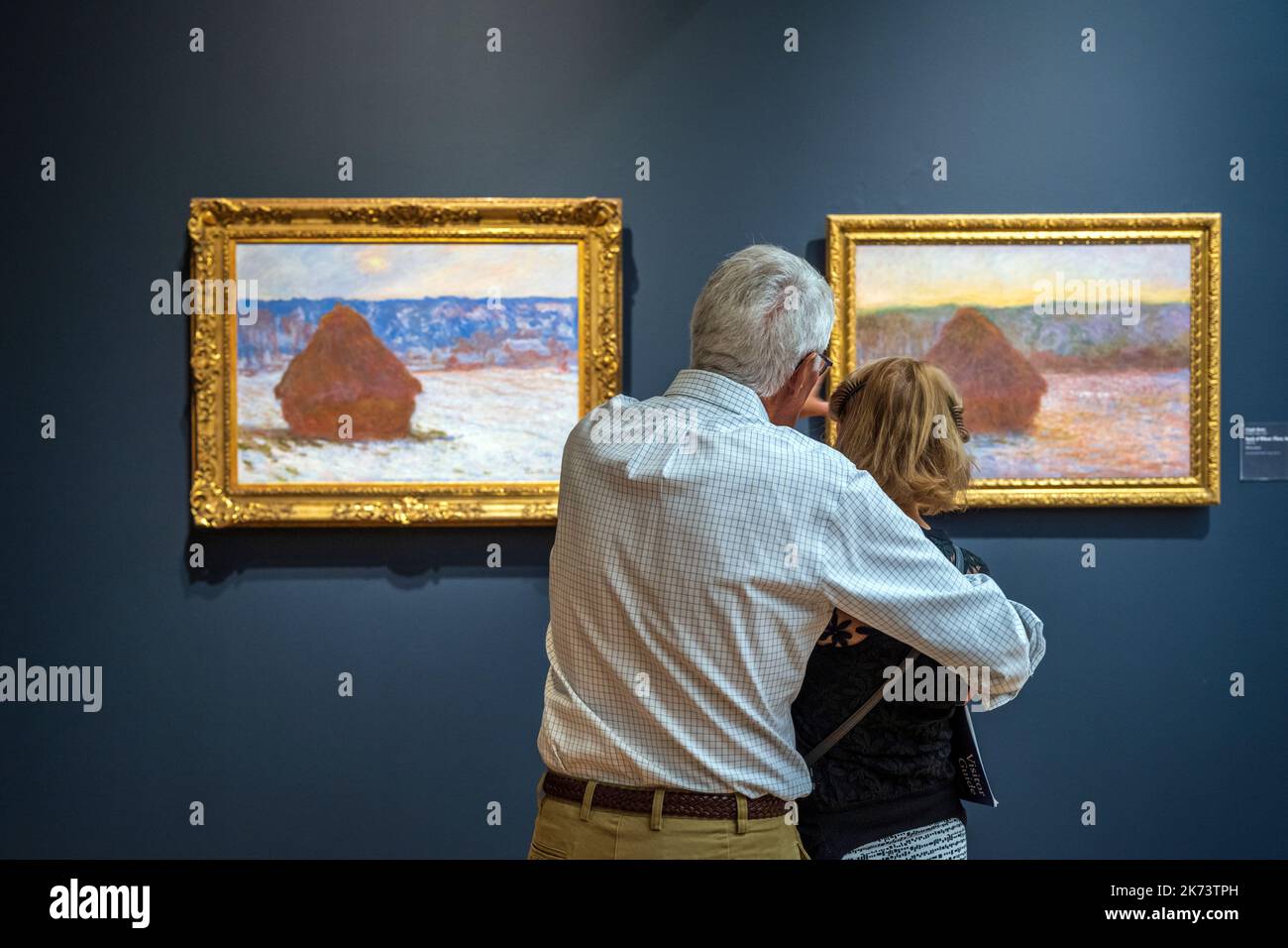 Altes Paar, das sich Monets Gemälde am Art Institute of Chicago, Chicago, Illinois, USA ansieht Stockfoto
