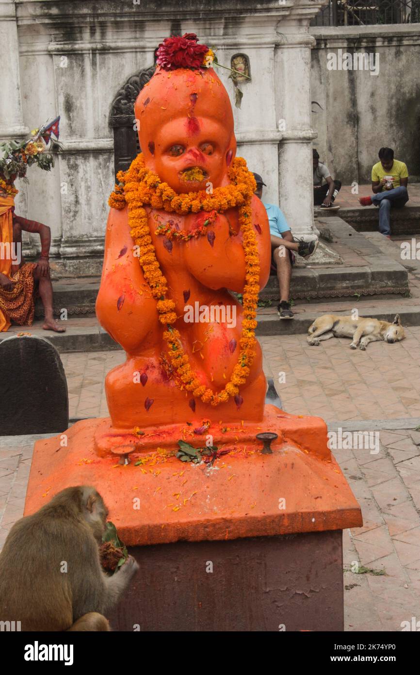Statue von Shiva in tierischer Form (Affe). Die Blütenhalsketten sind Rosenkränze. Die Pilger legen Nahrung in den Mund der Statue als Opfergabe. Die wilden Affen kommen, um zu dienen. Im Hintergrund können wir einen Mann wahrnehmen, der die Statue in menschlicher Form illustriert. Stockfoto