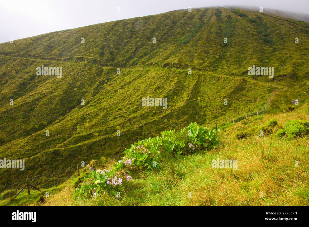 Portugal, Azoren, Faial Island, Caldeira do Cabeco Gordo, Vulkankrater, Stockfoto