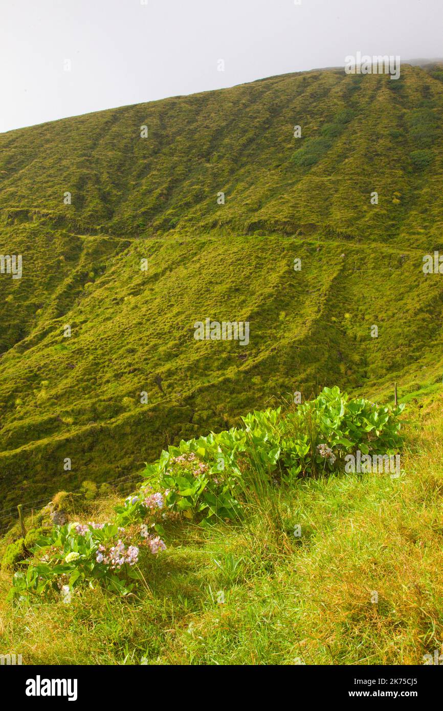Portugal, Azoren, Faial Island, Caldeira do Cabeco Gordo, Vulkankrater, Stockfoto