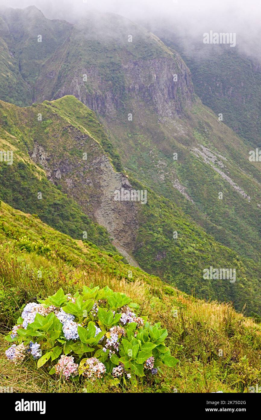 Portugal, Azoren, Faial Island, Caldeira do Cabeco Gordo, Vulkankrater, Stockfoto