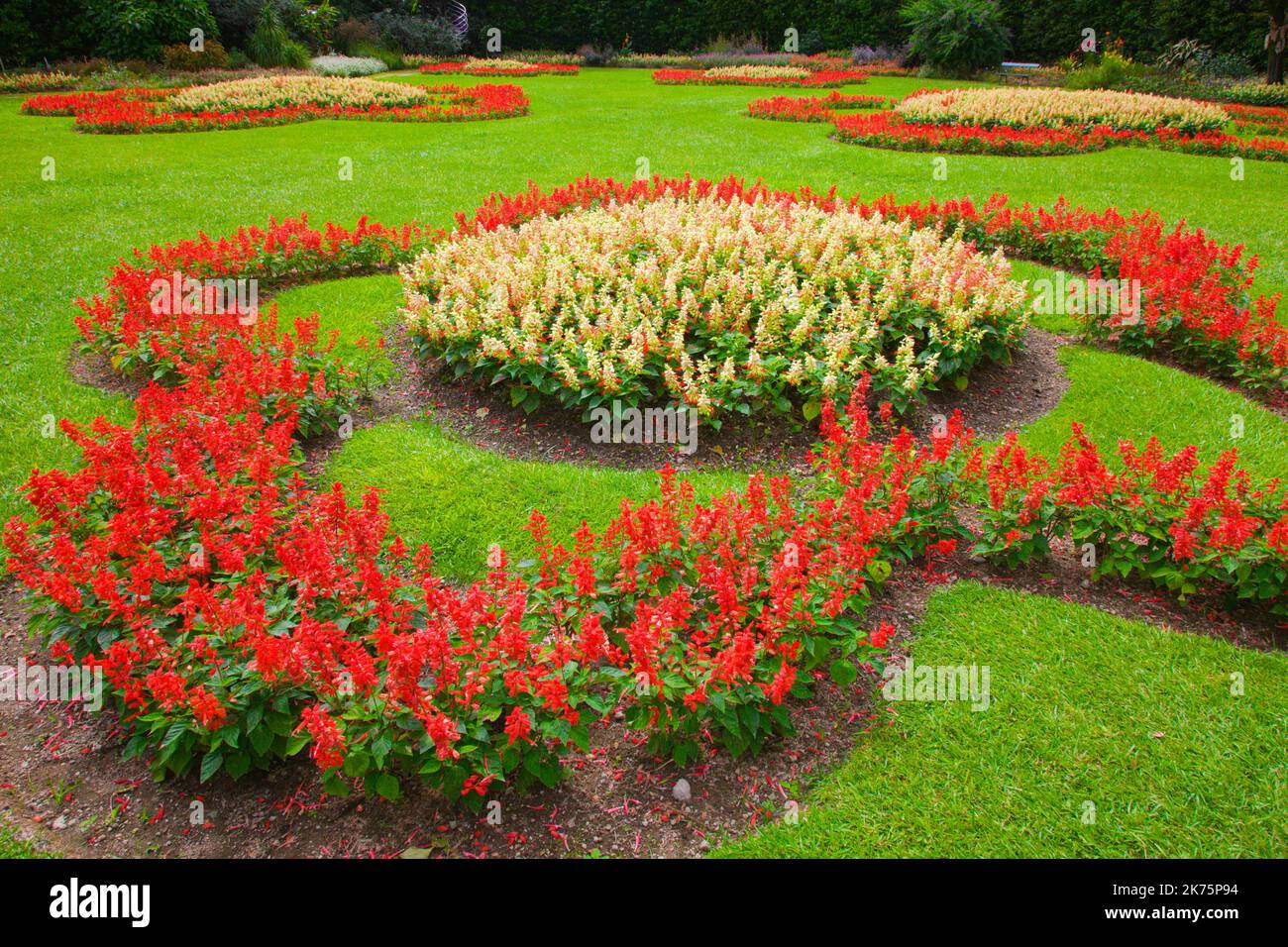 Portugal, Azoren, Sao Miguel Island, Furnas, Terra Nostra Park, Stockfoto