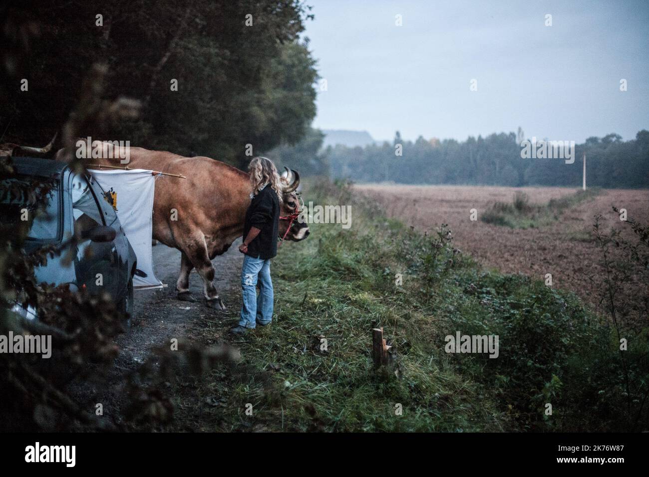Im September 2014 verteidigen in Sivens fast 300 Anarchisten und Umweltaktivisten den Wald von Sivens, auf dem der Staat einen Staudamm bauen will. Es kommt dann zu Zusammenstößen mit der Gendarmerie. Stockfoto